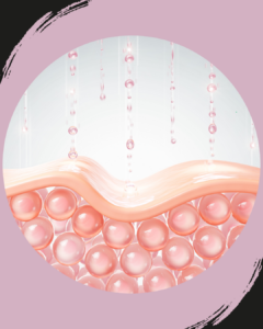 Skin Barrier